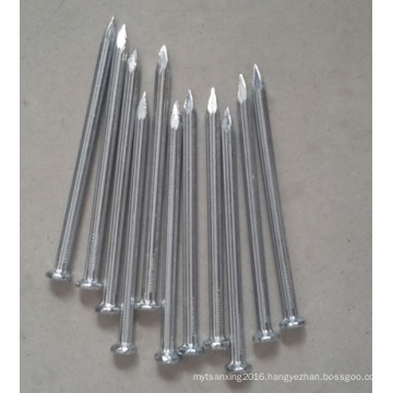 Galvanized Concrete Nail/Nails for Building